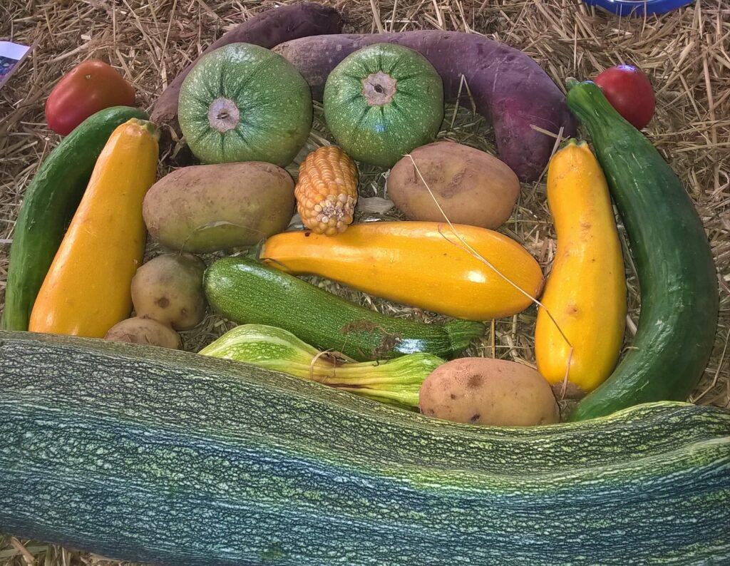 portrait légumes