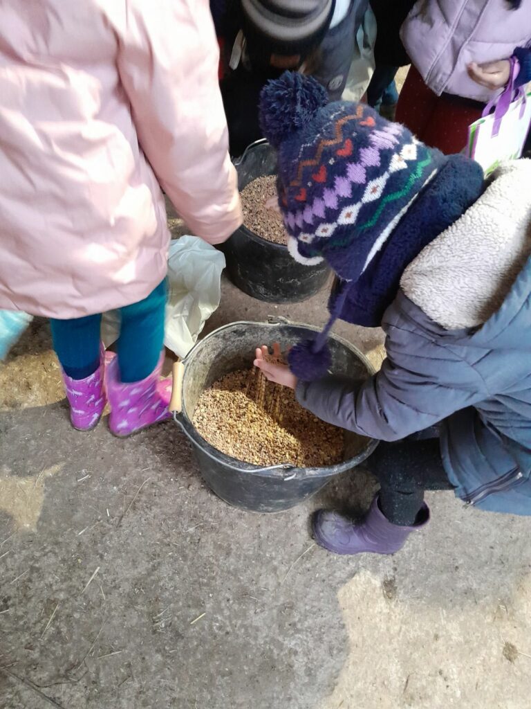 Les Explorateurs à la ferme!